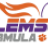 Clemson FSAE Logo Small