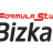 FSB Logo